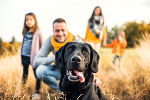 Wissenswertes rund um den Hund © GettyImages