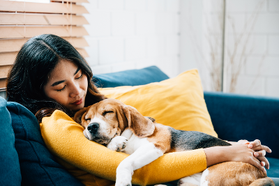 Ein Mann und ein Hund entspannen am Sofa